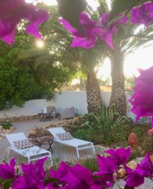 Adults-only holiday apartement Casa Taberna | Quinta Maragota | Fuseta-Moncarapacho Eastern Algarve