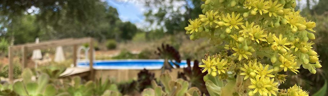 relaxing in mediterranean garden | accommodation Quinta Maragota East Algarve